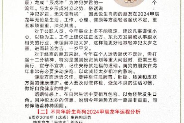 属猪人2013年运势 2013年猪年运势完整版