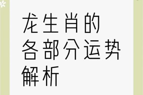 2024哪年属什么生肖 2024年属龙人全年运势