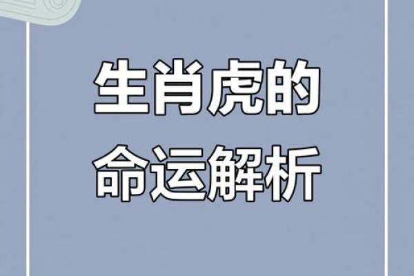2026年1月嫁娶吉日查询:生肖虎满日运势天秤座指南 2026年1月嫁娶吉日查询:生肖虎满日运势天秤座指南