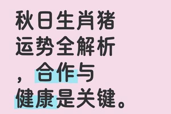 2026年2月生肖猪安葬吉日建日宜忌解析攻略 2026年2月生肖猪安葬吉日建日宜忌解析攻略