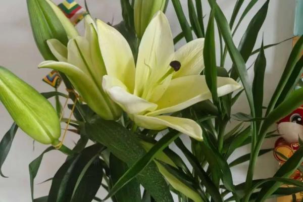 2月14号是什么情人节 情人节怎么过比较浪漫 2月14号是什么情人节 情人节怎么过比较浪漫