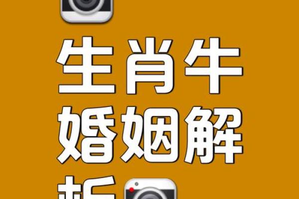 2026年2月生肖牛入宅吉日除日宜忌：金牛座解析推荐