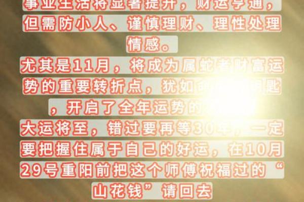 2025年11月修造成日吉日选择：生肖蛇运势解析