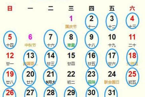 2026年2月生肖虎双子座装修预算控制吉日：省钱技巧与吉日