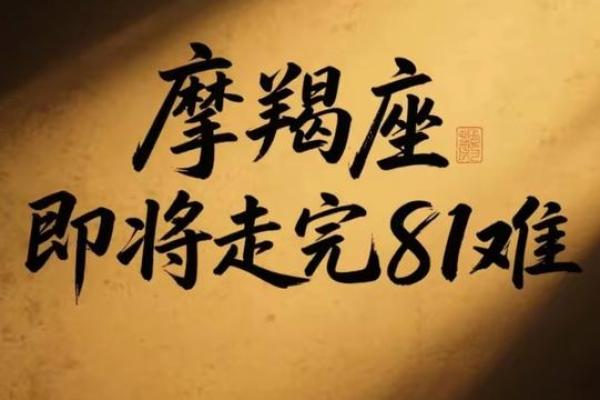 2026年1月生肖鸡摩羯座危日宜忌：登高冒险需小心