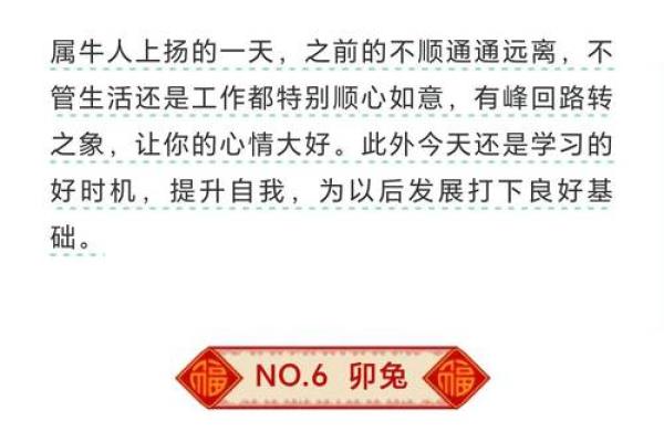 2025年11月8日是不是好日子?生肖马运势分析 2025年11月8日是不是好日子?生肖马运势分析