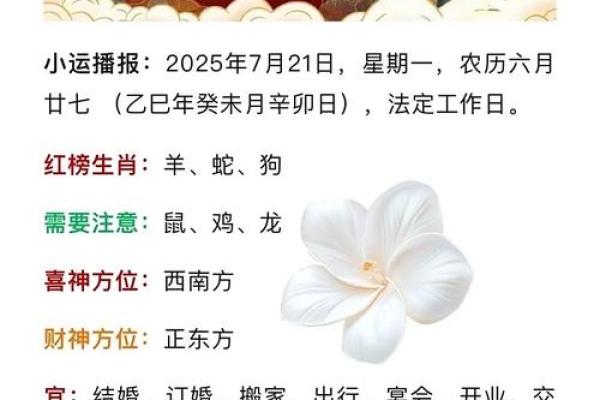 2026年1月纳财平日吉日选择：生肖鼠双鱼座运势分析