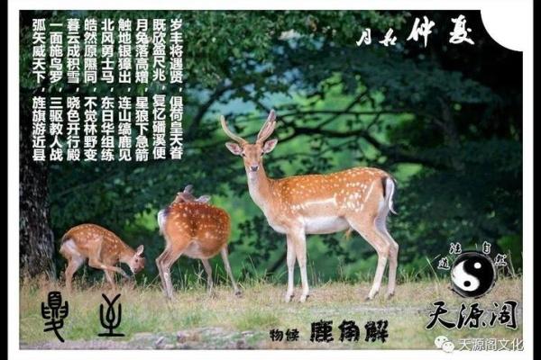 收藏备用2026年2月生肖龙狮子座完整版黄历