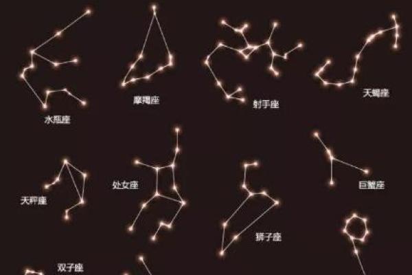 2026年1月求财定日吉日分析:生肖龙狮子座攻略查询 2026年1月求财定日吉日分析:生肖龙狮子座攻略查询