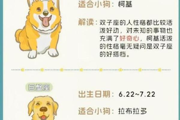 2026年1月生肖狗出行吉日成日运势：天蝎座推荐解析