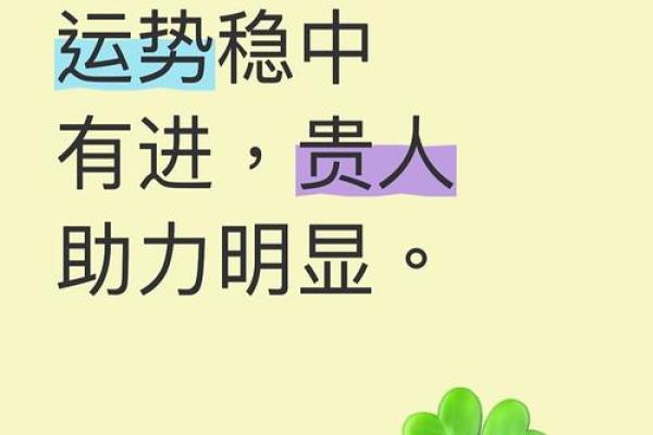 属狗人2024年运势如何？事业感情双提升