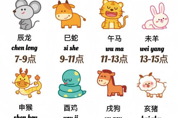 生肖鼠2024年运势好吗？精准解读助你转运