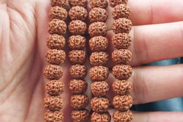 女性什么属相不宜戴菩提？一文说清避坑指南