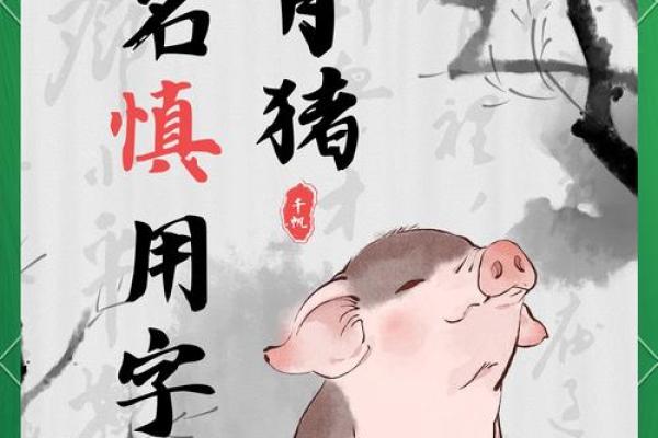 起名用“佳”字要避开哪三个生肖？实用解析