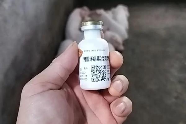 07年猪26岁高考顺利吗？提升录取率的关键建议