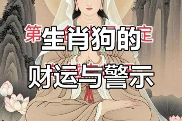 生肖狗2026年运势如何?两喜临门怎么把握?