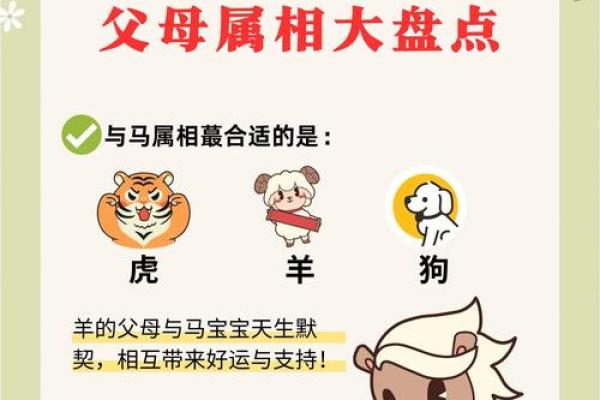 属马人2026年运势如何?每月运程详解助你趋吉避凶