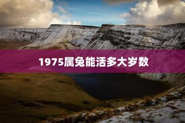 1975属兔人最终寿命有多长?科学解析来了