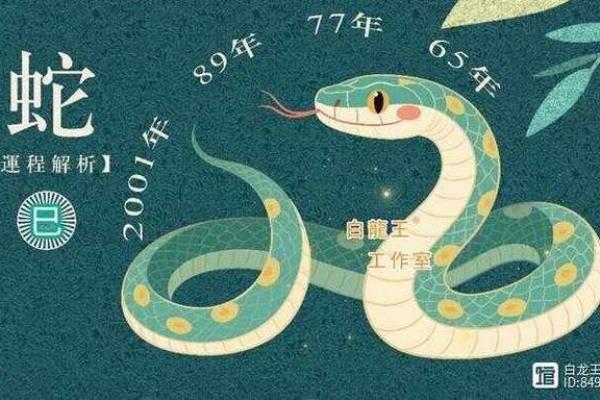 生肖蛇2026年运势如何？事业财运全解析