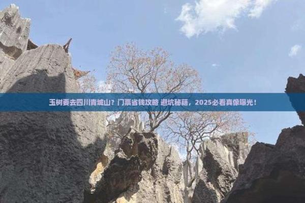 青城山最忌讳哪三个属相?游客必看避坑指南 青城山最忌讳哪三个属相?游客必看避坑指南