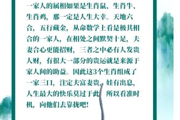 属鼠1984年一生三大劫难是哪些？怎么避？