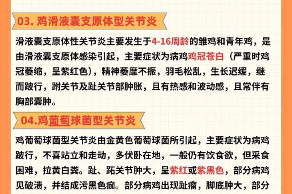 57年鸡最难熬的年龄是几岁？如何化解危机？