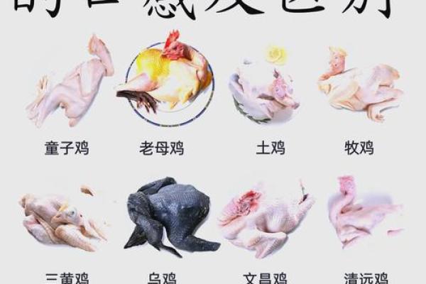 57年鸡最难熬的年龄是几岁？如何化解危机？