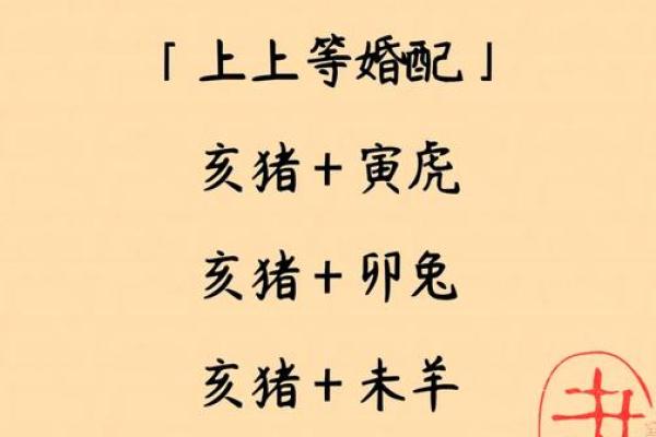 2007年属猪男孩命运如何？事业婚姻详解