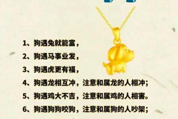 1958年属狗的是什么命？详解运势与性格