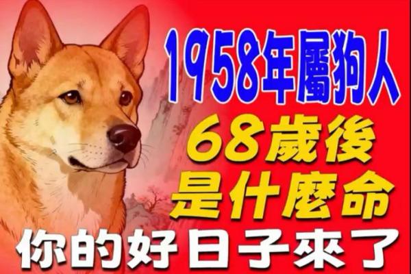 1958年属狗的是什么命？详解运势与性格