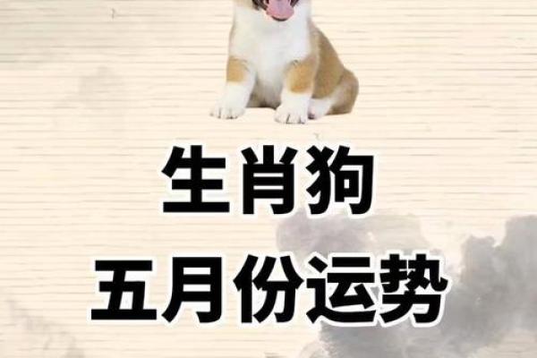 1958年属狗的是什么命？详解运势与性格