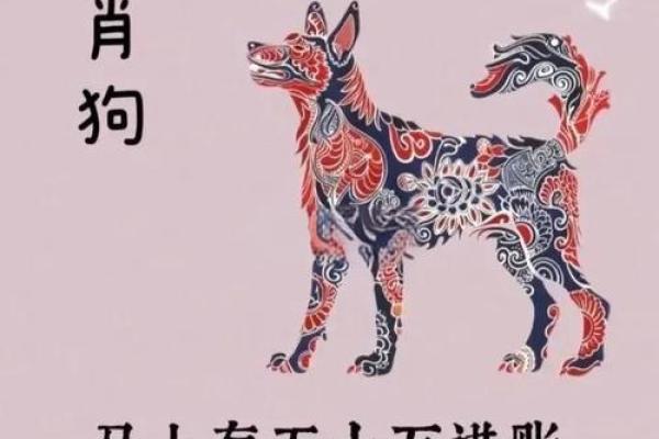 属狗人幸运数字和颜色是什么？速查转运秘诀