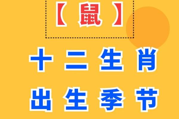 属鼠的几月出生最好命？这几个月出生福气旺