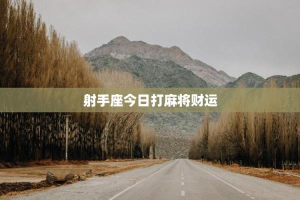 属猪今日打麻将偏财运如何？提升胜率3大技巧