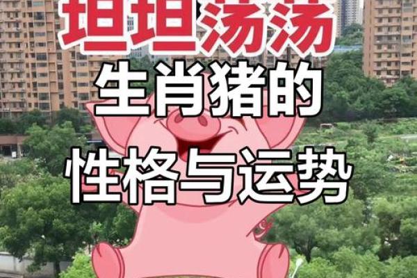 1971年属猪的是什么命？揭秘性格与运势