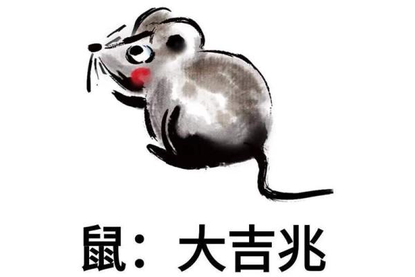 鼠年出生2026年运程好吗？事业财运转机