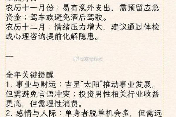 2024属马人运势详解，避开凶星把握机遇