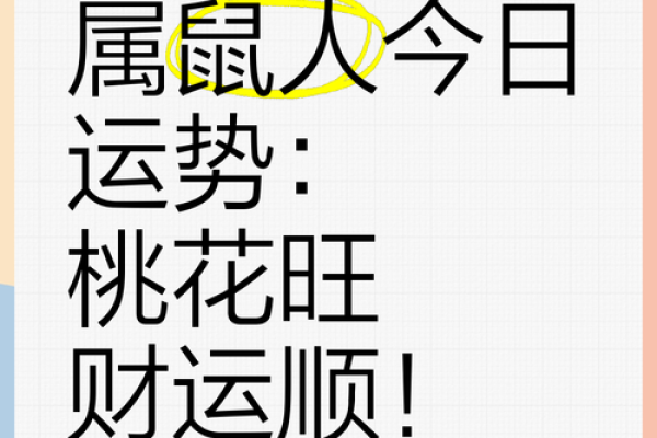 1972年属鼠的是什么命？事业财运全解析