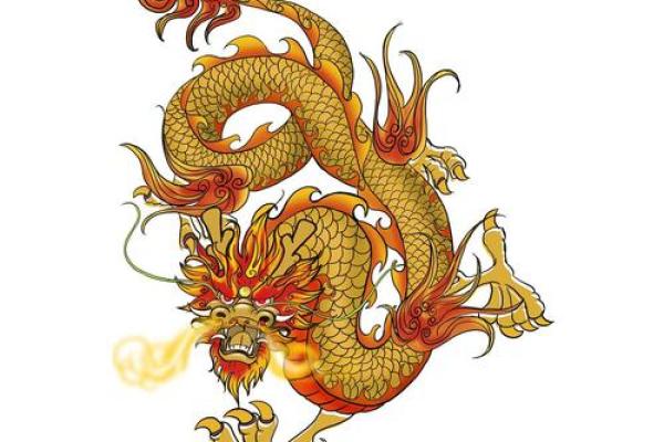 属龙人2026年财运怎么样？实用建议来了