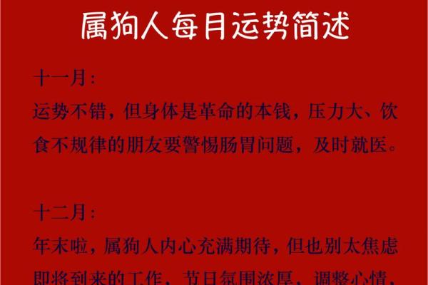 属狗2006年出生女孩命运如何?事业婚姻详解