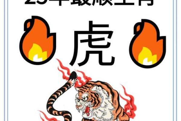 土虎男命运如何？2023年运势详解助你转运