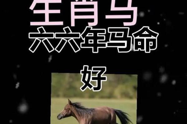 2026年属马人财运好吗?事业感情全解析