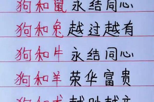 生肖狗命中有两大贵人是谁？如何把握机遇？