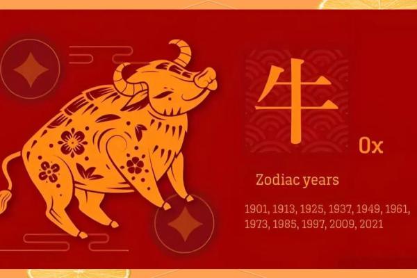 属牛女人2026年运势如何?全年运程详解 属牛女人2026年运势如何?全年运程详解