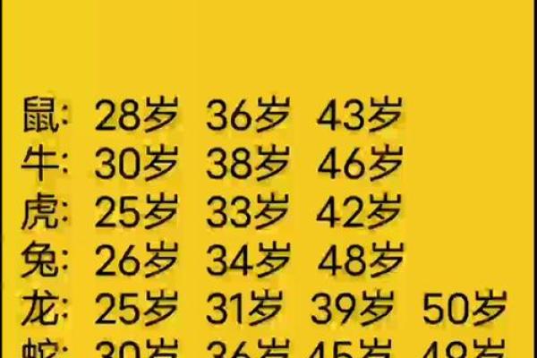 属牛人发横财的年龄是几岁？揭秘最佳财运时机