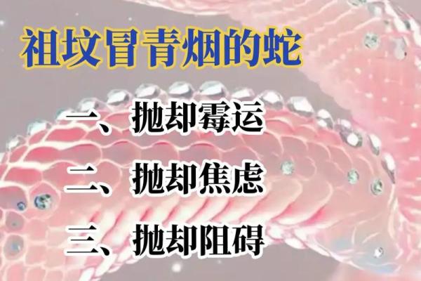 1977年属蛇人48岁大难来临如何应对？