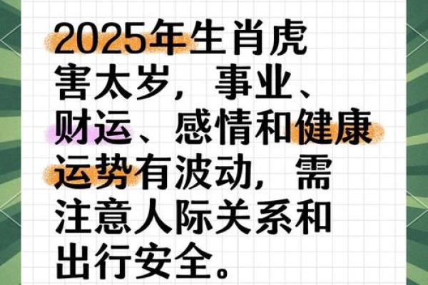 74年虎2026年运势如何？财运提升关键揭秘