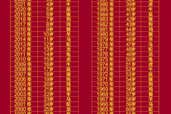 属马的今年多大了？2024年年龄对照表速查