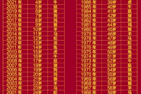 属马的今年多大了？2024年年龄对照表速查