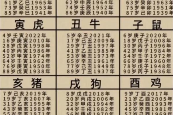 属马的今年多大了？2024年年龄对照表速查